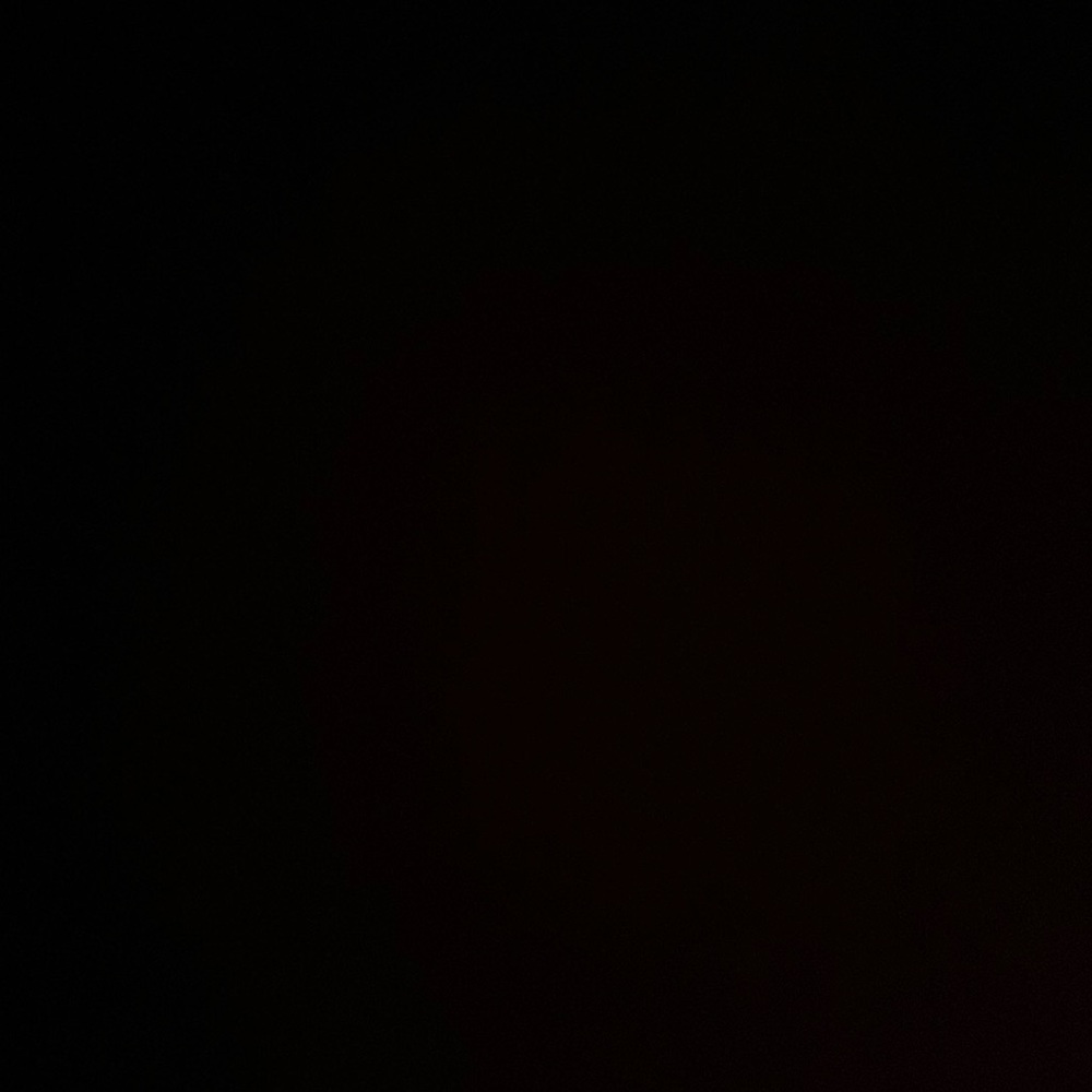 Meet your Posher, Rayshad